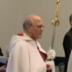 David DeDonato Avatar